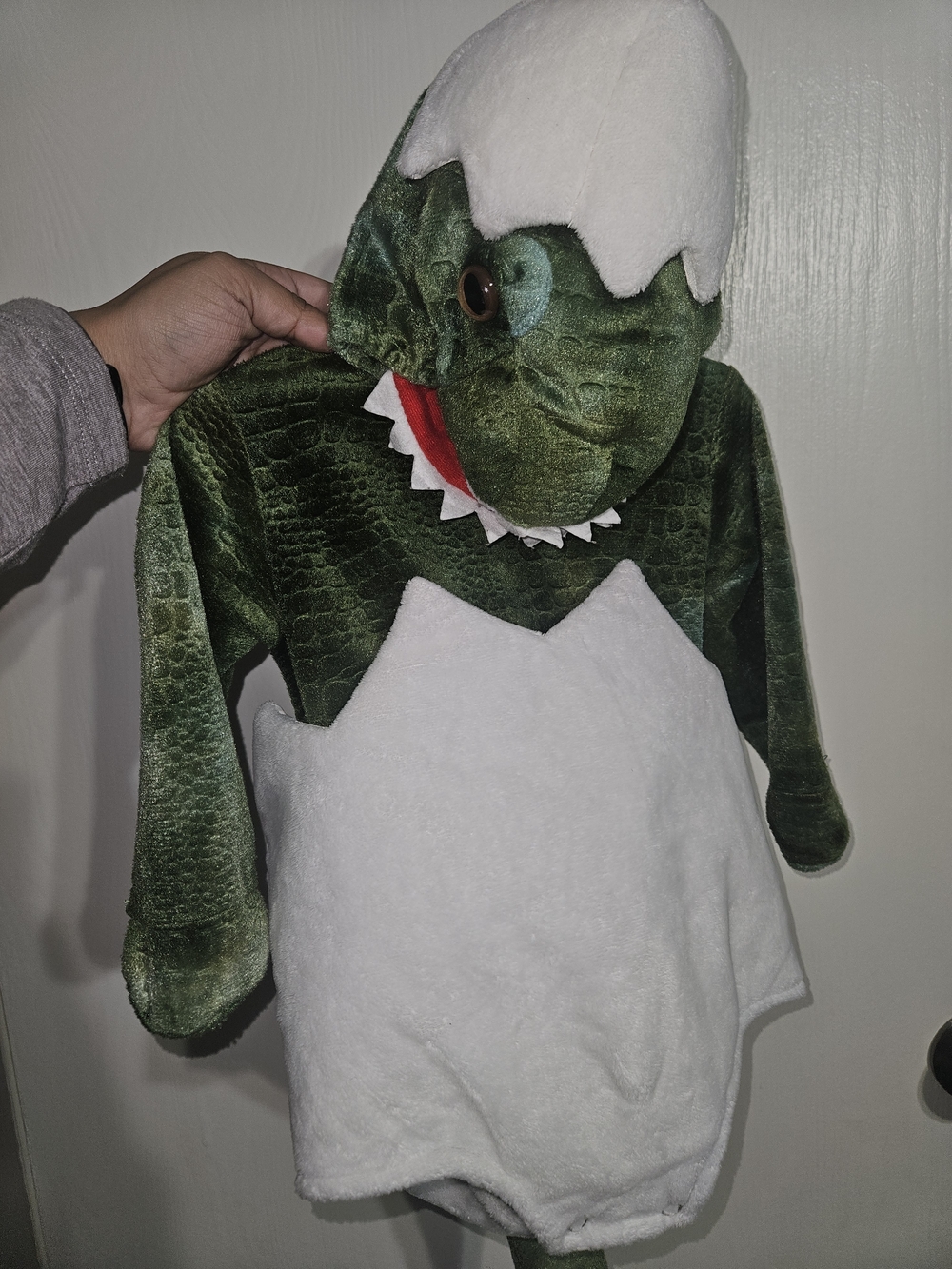 Pottery Barn Kids Green and White Dinosaur Costume